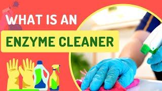 what is an enzyme cleaner (a magical product)