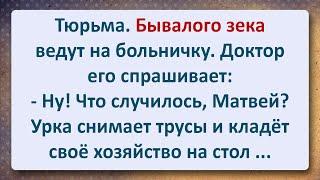 ️ Бывалый Зек на Больничке Вывалил Хозяйсво Доктору на Стол! Сборник Самых Смешных Анекдотов!