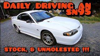 An Honest, REALISTIC, Sn95 Mustang Review.