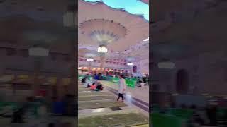 Masjid Al Nabawi beautiful moment #viral #shorts #islam #islamic #islamicstatus #beautiful #masjid