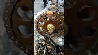 Timing Chain Replacement ,2tr engine timing Rebuild Toyota Fortuner