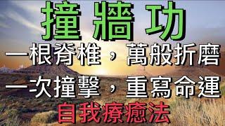 醫療太極：撞牆功-震動奇蹟，一根脊椎，萬般折磨；一次撞擊，重寫命運，自我療癒法，讓牆壁成為你最堅強的后盾！ #health