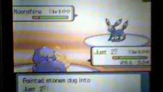 D/P WIFI Battles #45: Symphonyx64 vs. Sandblaster777