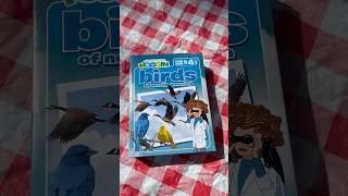 Game schooling outside with Professor Noggin Birds of North America