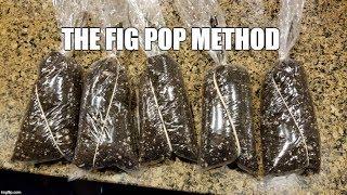 How to Root Figs 1: The "Fig Pop" Method 2018