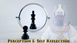 Perception & Self Reflection