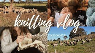 a weekend at tarndie | knitting vlog | hayleys space