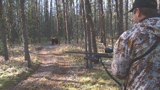 Extreme Outer Limits "North Point Pt. 1" Season 12 Ep 1 - BEAR HUNTING