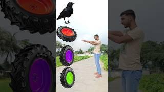 Tractor wheel to parrot pingen crow peacock  #shortsfeed_ #viralvideos #shortvideos #short