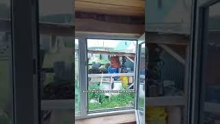 ГДЕ Хранить ВЕНИКИ для БАНИ?