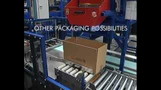 Weighpack Packaging Solutions - Flexible STW bulk packer Zimmermann