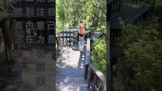 你值得️最好的愛️ #愛自己 #療癒 #成長 #內在力量 #允許 #愛 #接納 #心理學 #信念 #內在 #心靈療癒 #頻率 #能量 #接納 #希塔療癒 #能量 #自信 #大自然 #心情語錄