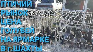 Цена голубей на ярмарке в г.Шахты. Птичий рынок 04.08.24.Bird Market. Pigeon Fair. الحمام. 鸽子.