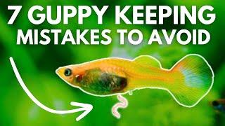 7 Common Guppy Keeping Mistakes You MUST Avoid!