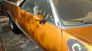 'Shine Juice', Good Protection for Old cars