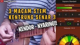 3 TYPES OF STEMAN KENTRUNG SENAR 3 | SLOUD - SOUND BY AGGIT SATRIO W