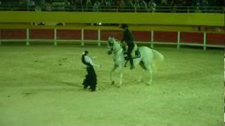 Les Saintes-Maries-de-la-Mer. La Camargue. Danseuse de Flamenco et son Cavalier dans les Arènes