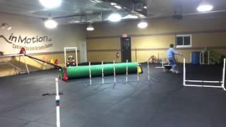 Agility Teams Training at DIM