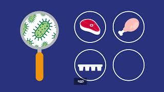 FSA Explains: Salmonella