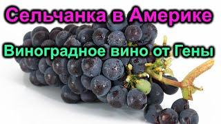 Сельчанка в Америке.Виноградное вино от Гены