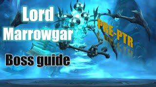 LORD MARROWGAR BOSS GUIDE - ICECROWN CITADEL