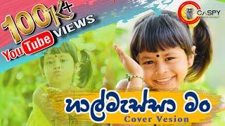 Halmessa man (හාල්මැස්සා මං ) | Official Cover | Little Star Piyavi Ahinsa Ft. Caspy Music