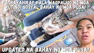 BUHAY AMERIKA:SOSYAL ANG NILIPATANG BAHAY NG PUSA NAMIN! PALIGUAN NATIN  MGA KUTING  KAHIRAP PALA