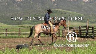 How To Start a Rope Horse Day 5 Preview