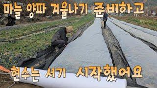 현수 제자리 서기 성공, 2-3일 뒤면 걸어 가겠어요