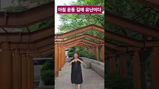 된다박수 첼린지 23번째 나만의 건강 운동이 아침을 깨운다 #새벽운동 #수영 #상쾌한아침  #된다박수의에너지를믿는다 #화숙tv