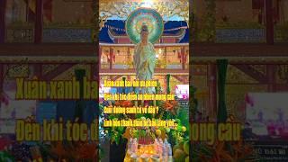 ️Đời Người  #quantheambotat #ommanipadmehum #buddha #giacngo #niemphat #phatphapnhiemmautn