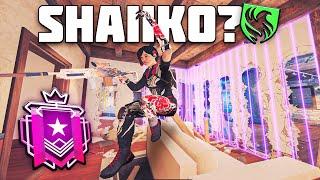 HOW SHAIIKO GOT ME CHAMP in SIEGE