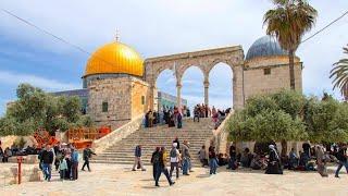 Live afternoon prayer call from Rehab Al Aqsa Mosque |مباشر اذان العصر من رحاب المسجد الاقصى المبارك