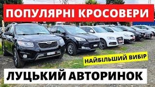 ПОПУЛЯРНІ КРОСОВЕРИ НА ЛУЦЬКОМУ АВТОРИНКУ // 22.08.2024р #автобазар  #автопідбір #автопідбірлуцьк