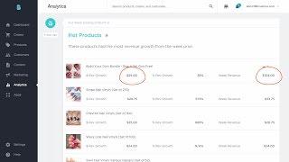 Bigcommerce Insights - Manage Store | Bigcommerce University