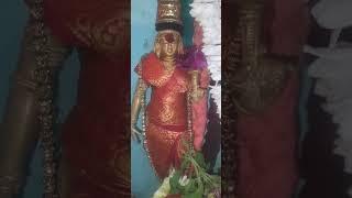 Sankaranarayanan swamy: jyestabhishekam Poojai