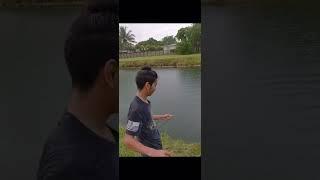 Step son loses his PB peacock by his fingertips! So close! #subscribe #kastking #fishing