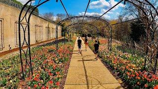 Nashville Tennessee | Cheekwood botanical gardens in early Spring