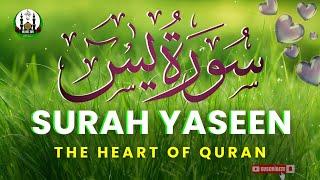 Surah Yaseen | Surat Yaseen | surah Yasin | 36 Surah | Mishary