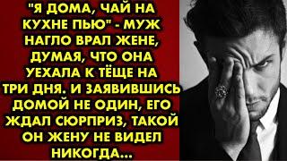 "Я дома, чай на кухне пью" - муж нагло врал жене, думая, что она уехала к тёще на три дня. И…