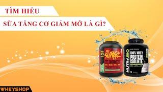 Sữa tăng cơ giảm mỡ là gì ?
