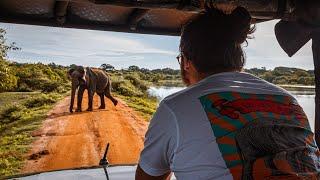 Safari in Sri Lanka: Yala National Park