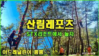 stx리조트에서 놀자(부제:산림레포츠)