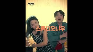 스튜디오나우