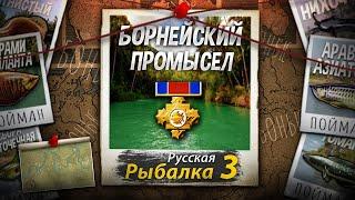 Борнейский Промысел 9 Из 9.Полное прохождение. Русская Рыбалка 3.