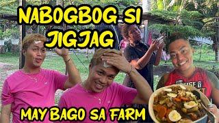 NABOGBOG PALA SI @JigJagChannel |BAKIT ANONG NANGYARI? |MAY BAGO SA FARM NI @BrendaMageOfficial