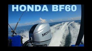 Honda BF60 Quick Video