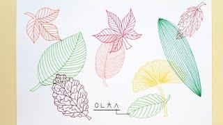 나뭇잎 그리기/ 잎맥 그리기/ 선연습/ Draw leaves/ Draw veins/ line drawing