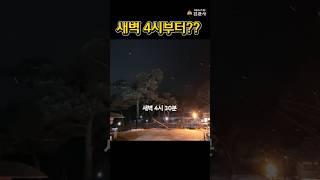 진관사 설날 차례 풍경 | 새벽부터 울려 퍼지는 전통과 마음 #shorts #설날 #차례