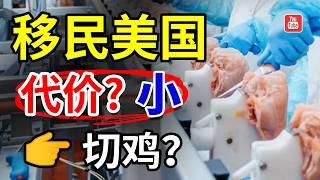 以什么样的方式移民美国，代价最小？【美国EB3移民】【美国EB3非技术移民】